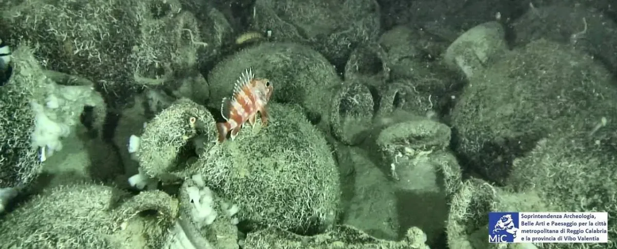 Ancient shipwreck with 300 amphorae found off Italy could reshape views of Mediterranean ...